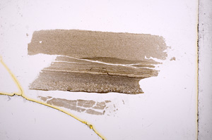 Plane Polarized, E4658