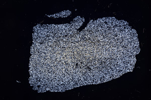 Cross Polarized, E4679