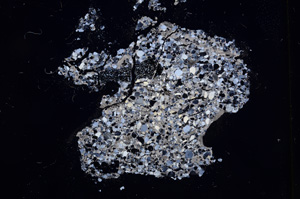 Cross Polarized, E4680