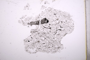 Plane Polarized, E4680