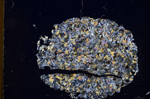 Cross Polarized, E4691