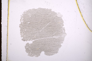 Plane Polarized, E4694
