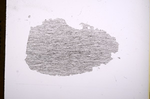 Plane Polarized, E4703