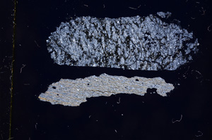 Cross Polarized, E4704