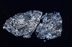 Cross Polarized, E4709