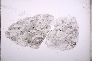 Plane Polarized, E4709