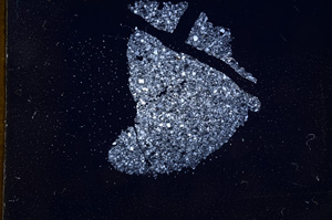 Cross Polarized, E4710