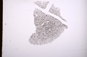 Plane Polarized, E4710