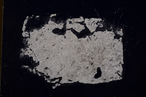 Cross Polarized, E4717