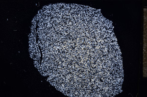 Cross Polarized, E4718