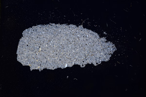 Cross Polarized, E4719