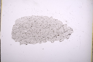 Plane Polarized, E4719