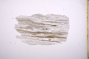 Plane Polarized, E4721