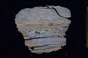 Cross Polarized, E4722