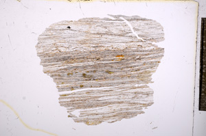 Plane Polarized, E4722