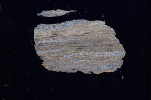 Cross Polarized, E4723