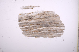 Plane Polarized, E4723