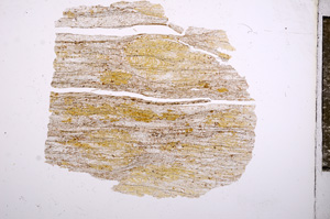 Plane Polarized, E4724