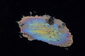 Cross Polarized, E4725