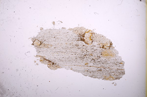 Plane Polarized, E4725