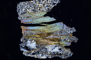 Cross Polarized, E4726