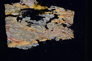 Cross Polarized, E4728