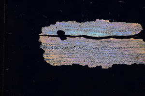 Cross Polarized, E4729