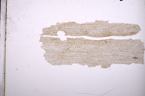 Plane Polarized, E4729