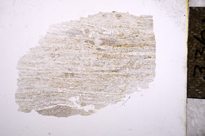 Plane Polarized, E4732