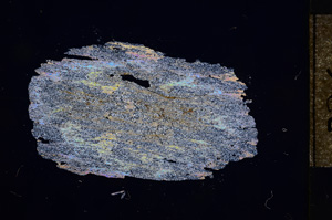 Cross Polarized, E4735
