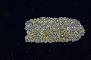 Cross Polarized, E4737
