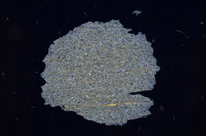 Cross Polarized, E4738