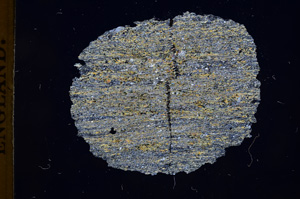 Cross Polarized, E4739