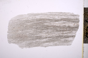 Plane Polarized, E4741