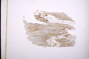 Plane Polarized, E4742