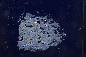 Cross Polarized, E4743