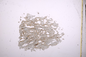 Plane Polarized, E4743