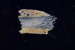 Cross Polarized, E4744