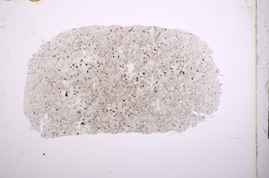 Plane Polarized, E4749