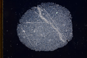 Cross Polarized, E4779