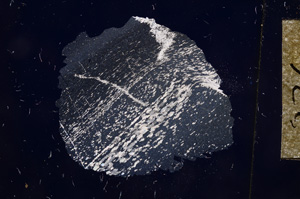 Cross Polarized, E4781