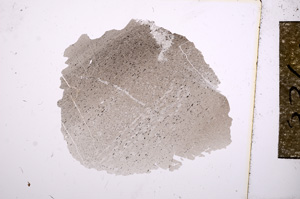 Plane Polarized, E4781