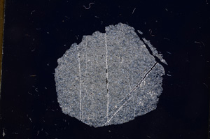 Cross Polarized, E4784