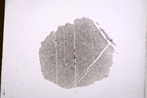 Plane Polarized, E4784