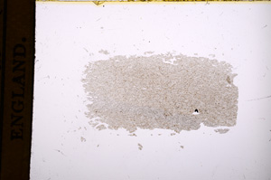 Plane Polarized, E4788
