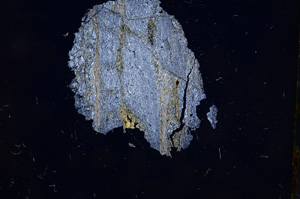 Cross Polarized, E4791