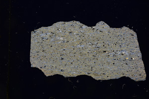 Cross Polarized, E4794