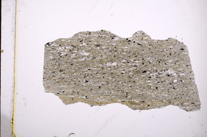 Plane Polarized, E4794