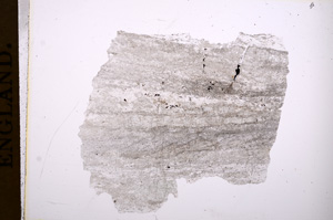 Plane Polarized, E4796