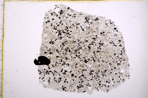 Plane Polarized, E4798